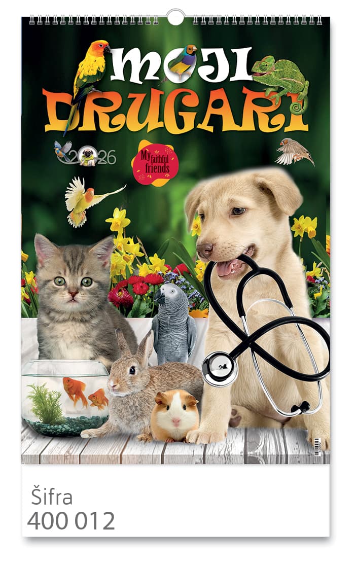 Drugari